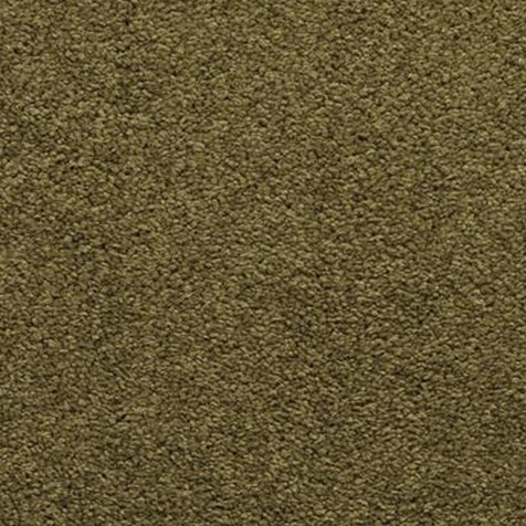 Dixie Homes Caress Tropical 12x29 Nylon Carpet Remnant: Aladdin Carpet ...