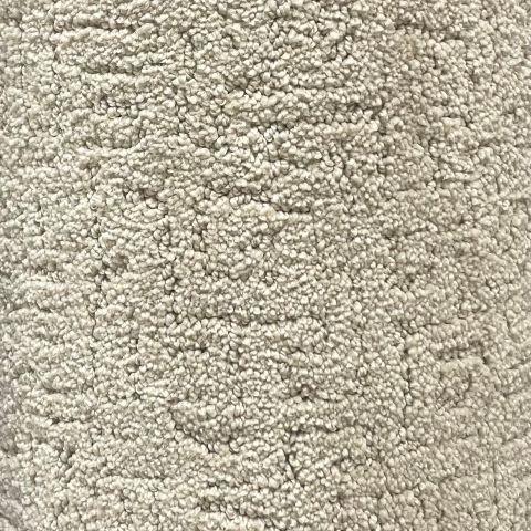 Shaw Floors 126 50145 12x6 feet Nylon Carpet Remnant