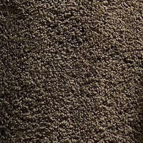 Dixie Home Grand Tradition Majestic M 12x36 feet Carpet Remnant