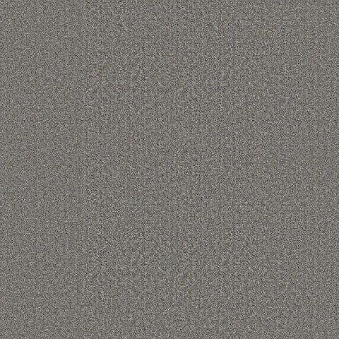 Shaw Floors Secret Passage Gray 12x9 feet Premium Nylon Carpet Remnant