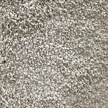 Dixie Homes Caress Devot 12x18 feet Nylon Carpet Remnant