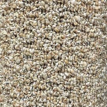 Shaw Purewater Gold 12x8 feet Olefin Carpet Remnant