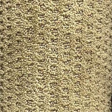 Karastan Cliveden Parklawn 12x5 feet Premium Nylon Carpet Remnant