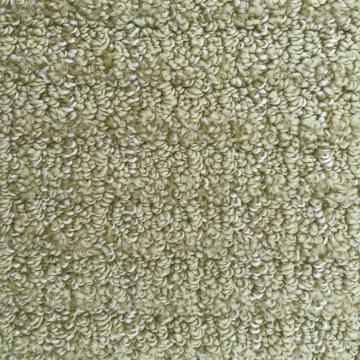 Dixie Homes Arbor Crest Spring Nylon Carpet