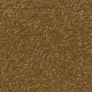 Dixie Homes Menton Prairie Nylon Carpet