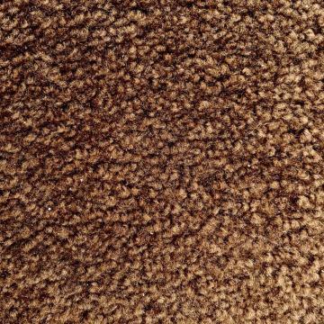 Shaw Floors Cavalier II Brown Premium Nylon Carpet