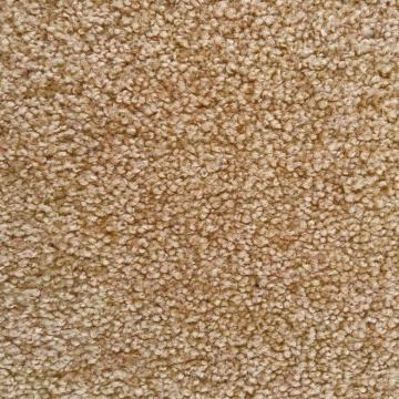 Dixie Homes Bonterra Biscotti Nylon Carpet