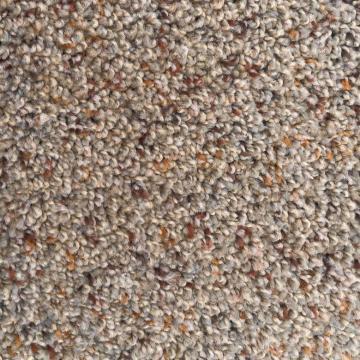 Phenix Groveland Stardust Polyester Carpet