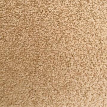 Dixie Home Fortune Rich Nylon Carpet