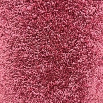 Shaw Indus. Newbern Classic Sassy 12x14 feet Polyester Carpet Remnant