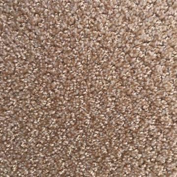 Dixie Home Shafer Point Dunmo Nylon Carpet