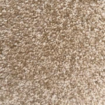 Shaw Floors Jet Set Brown Polyester Carpet