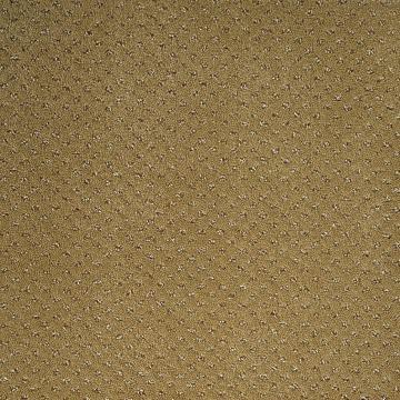 Dixie Home Trade Winds Starling Nylon Carpet