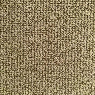 Dixie Homes Montego Palmeto Nylon Carpet