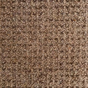 Dixie Homes Etchings Special Taupe Nylon Carpet