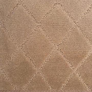 Dixie Homes Elan Blushing Nylon Carpet