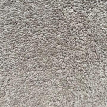 Shaw Floors Cabana Light Sugar Polyester Carpet