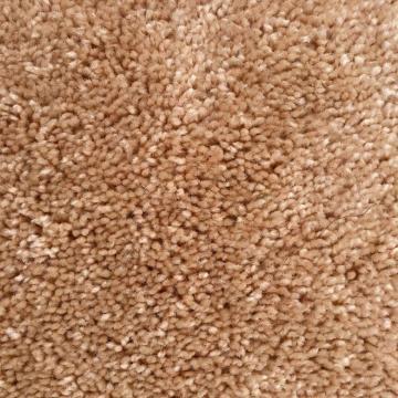 Shaw Floors Full Court Flax seed Polyester Carpet