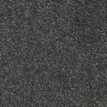 Shaw Floors Purebred Grey Nylon Carpet