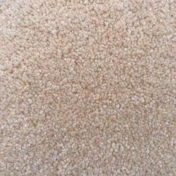 Shaw Floors Pedigree White Nylon Carpet