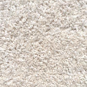 Dixie Home Alluring Desert Nylon Carpet