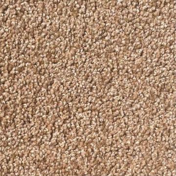 Dixie Home Alluring Rawhide Nylon Carpet