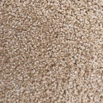 Dixie Homes Alluring Suede Nylon Carpet