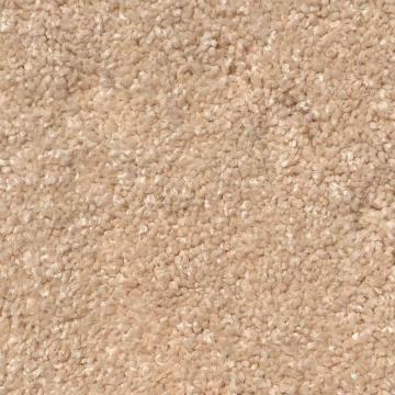 Shaw Floors 4DA55/DYPR55 Beige Nylon Carpet