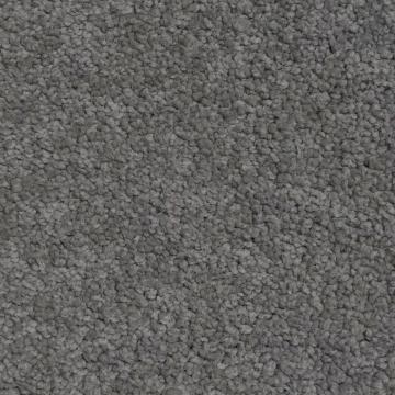 Shaw Floors 4DA40/PGR40 Dove Nylon Carpet