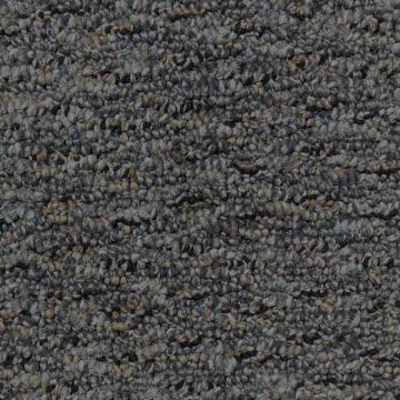 Shaw Floors Speek Addre Synthetic Yarn Carpet